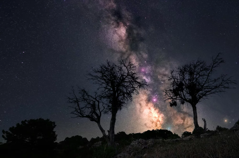 A photograph of trees with a rural night sky with a galaxy behind them, showing signs of light pollution.